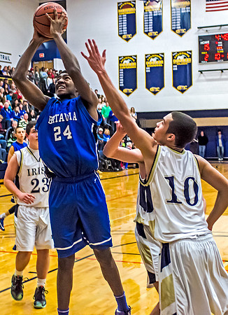 lions_ND_batavia_dec.30_2013-21