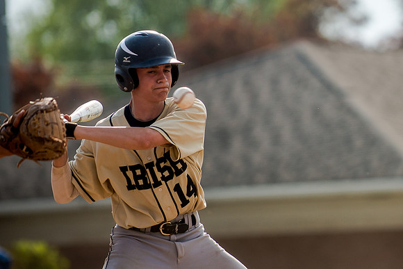 2015 Batavia Rotary Club Baseball Tournament
