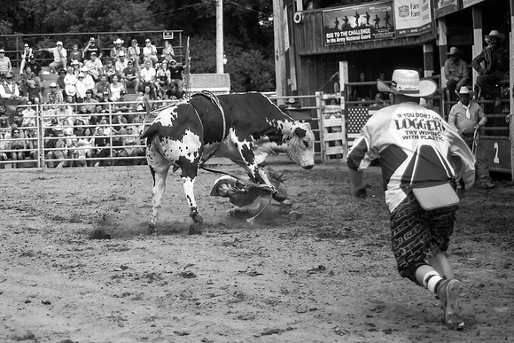 Attica Rodeo Saturday Matinee Aug 8 2015