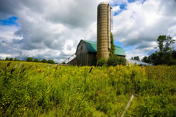 barnaug262015