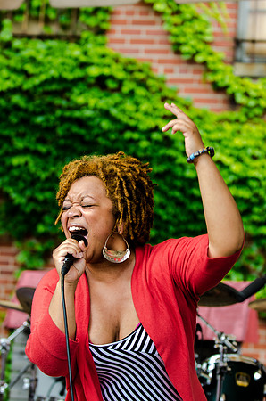 Ramble Music and Arts Fest Batavia New York 2013