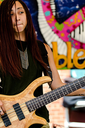Ramble Music and Arts Fest Batavia New York 2013