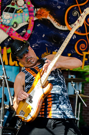 Ramble Music and Arts Fest Batavia New York 2013