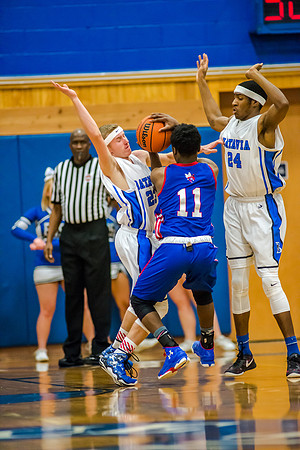 Batavia Blue Devils Beats Monroe in Section V Playoff Feb. 20 2016