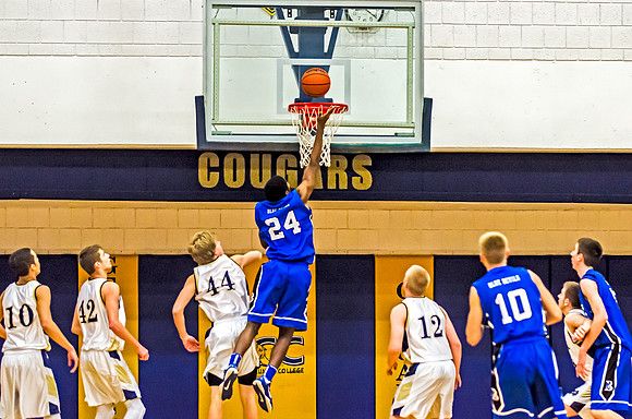 lions_ND_batavia_dec.30_2013-8