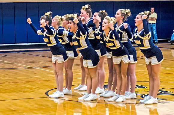 lions_ND_batavia_dec.30_2013-12
