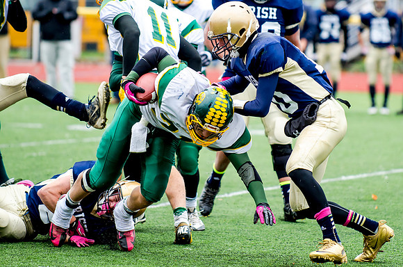 Alexander v Notre Dame Section V Playoff Oct 26 2013