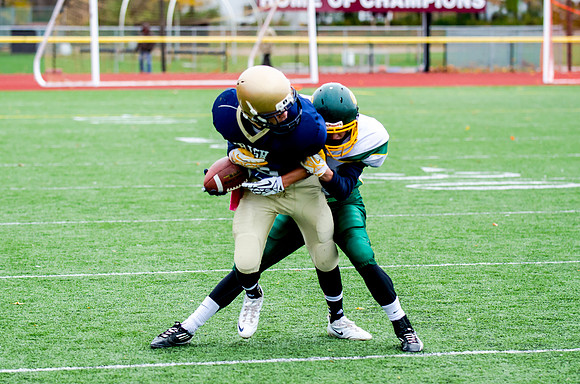 Alexander v Notre Dame Section V Playoff Oct 26 2013