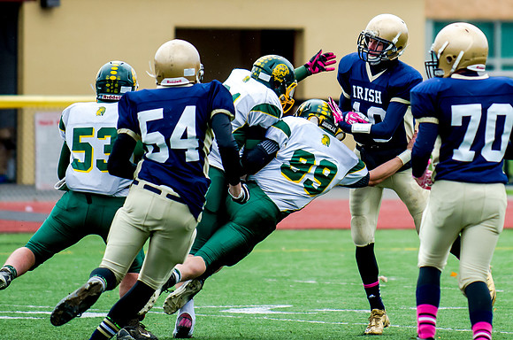 Alexander v Notre Dame Section V Playoff Oct 26 2013