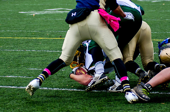 Alexander v Notre Dame Section V Playoff Oct 26 2013